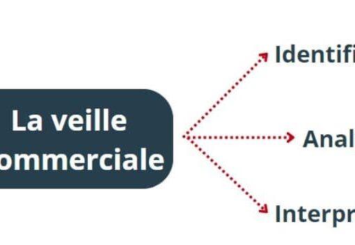 FE - la veille ne se limite pas à la collecte de données